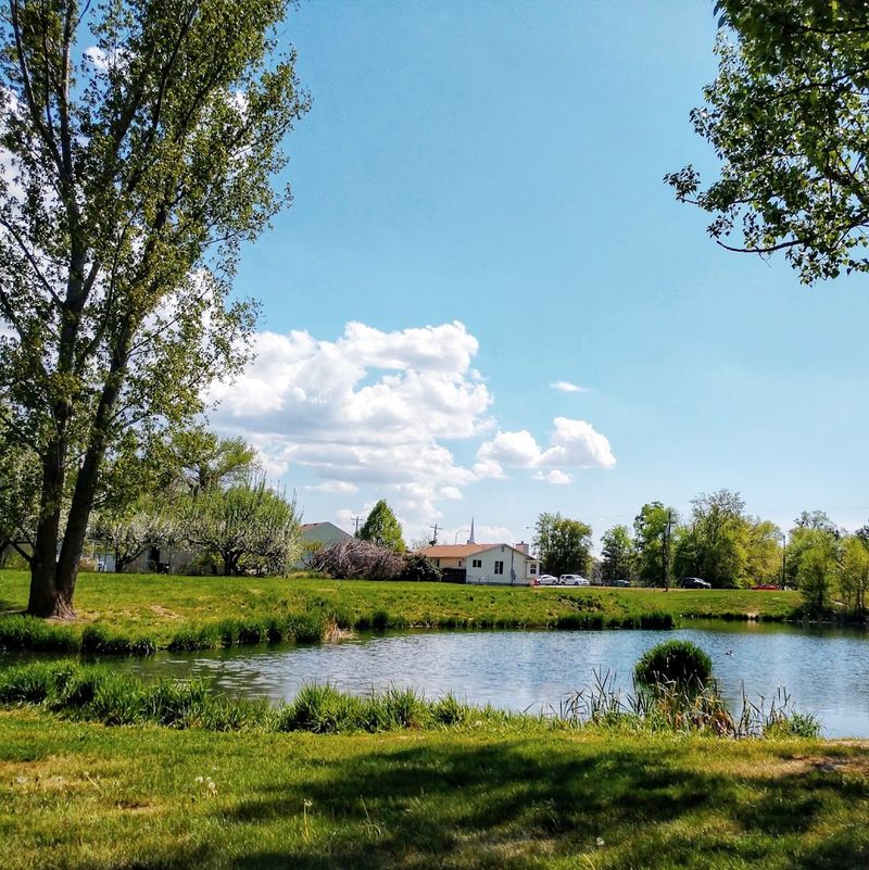 Mill Pond Views That Stop You Mid-Sentence