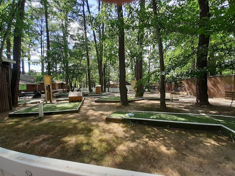 Mini-Golf, Volleyball, and Horseshoes