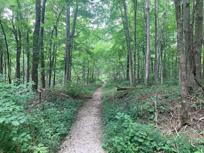 Harrison Trace Trail (Fort Harrison State Park), 6000 N Post Rd, Indianapolis, IN 46216