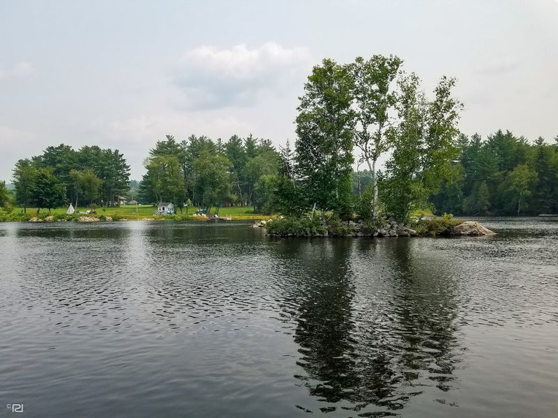 Moose Sightings Along the Androscoggin Corridor