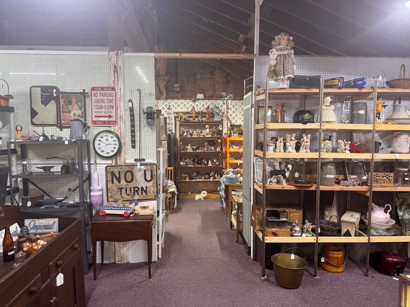 More Than 100 Vendors Under One Roof