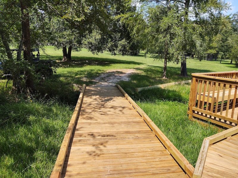 More Than 19 Miles of Trails Through Real Forest