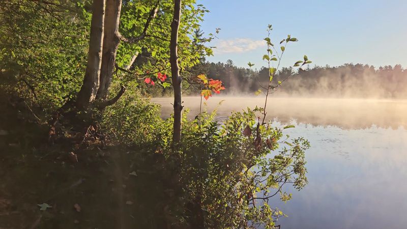 Morning Light On Fish Creek Pond