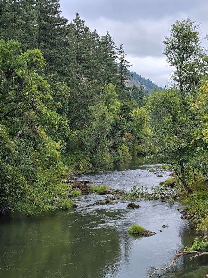 Mosby Creek (near Cottage Grove)