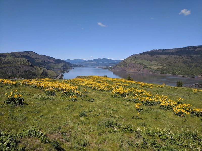 Mosier Plateau Trail and Open Hillside Views