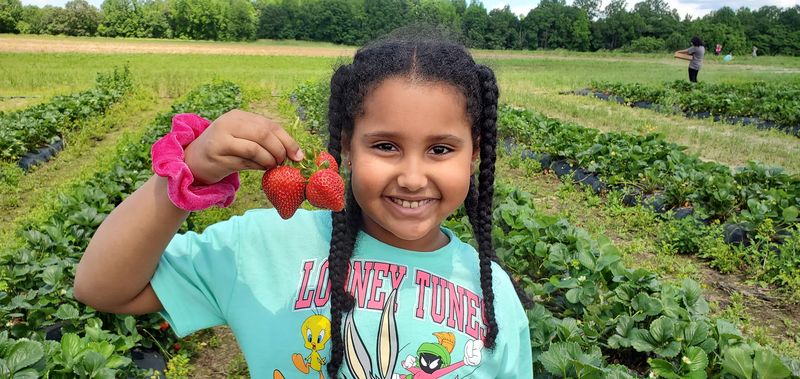 Mount Olympus Berry Farm, Richmond Area