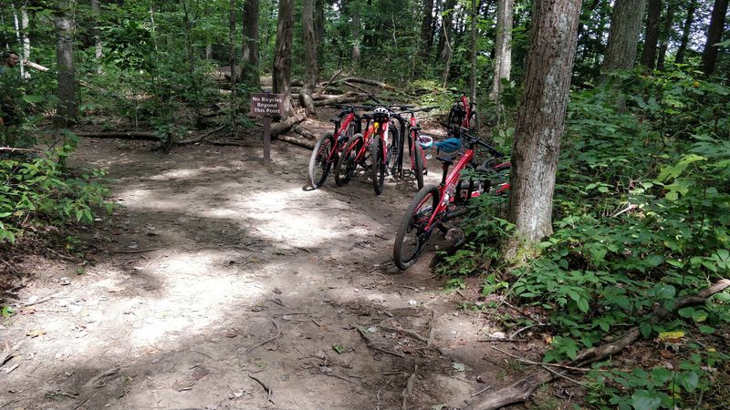 Mountain Biking Part Of The Trail
