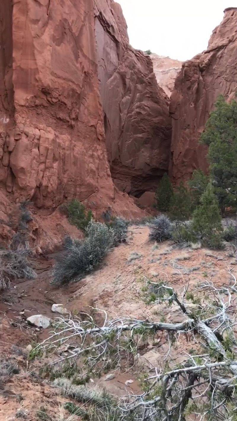 Mountain Biking Through Red Rock Terrain