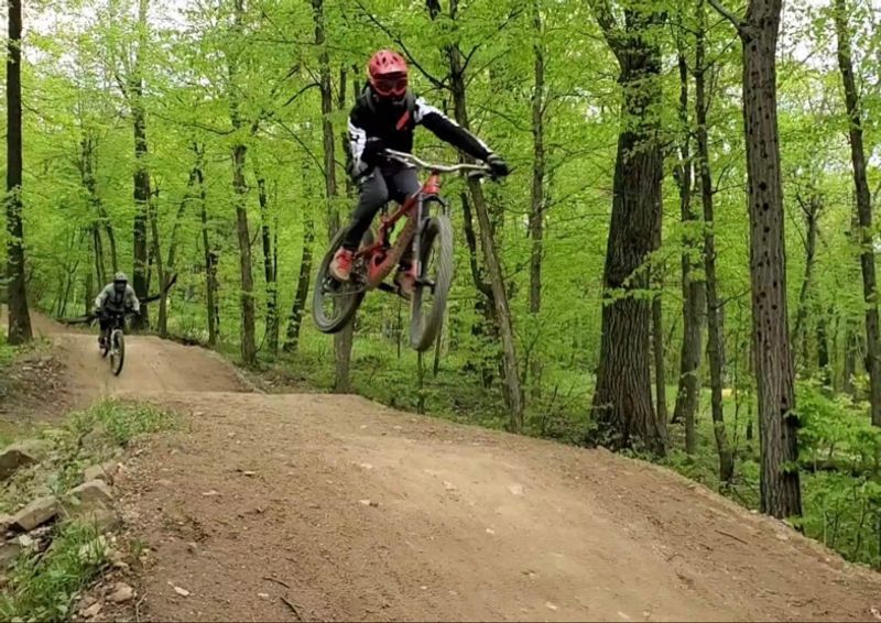 Mountain Biking Trails: Downhill Runs Through Forested Terrain