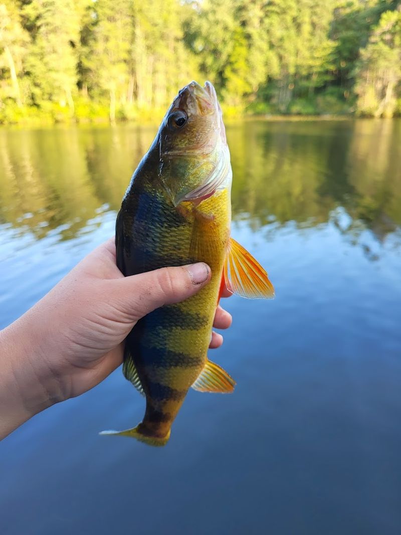 Multi-Species Fishing That Keeps Every Trip Interesting