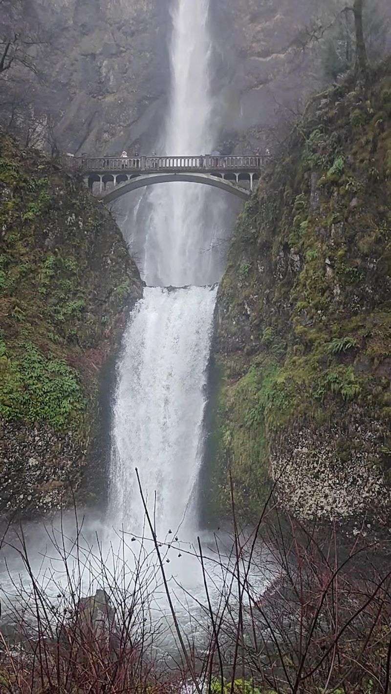 Multnomah Falls and Wahkeena Loop, Columbia River Gorge, Oregon Multnomah Falls and Wahkeena Loop, Columbia River Gorge, Oregon