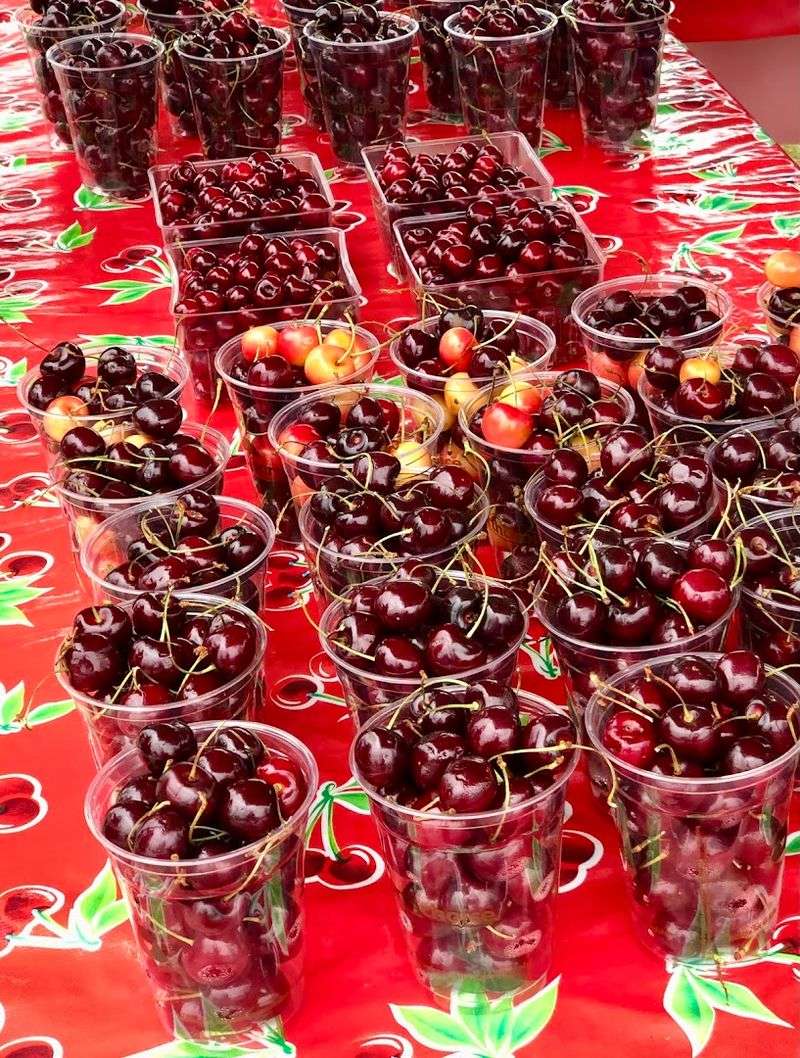 National Cherry Festival – Traverse City, MI