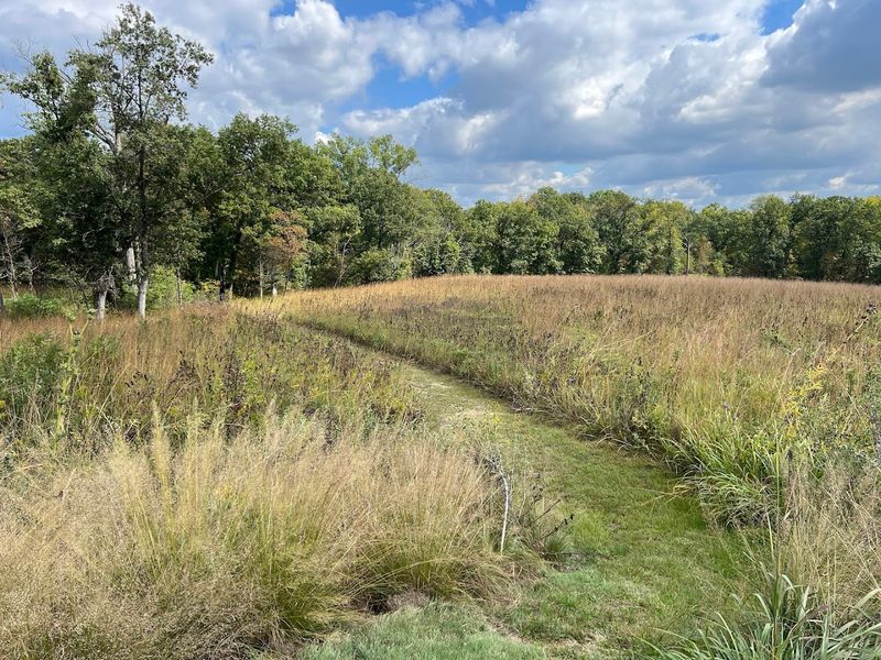 Native Plants Are the Real Stars of the Whole Reserve