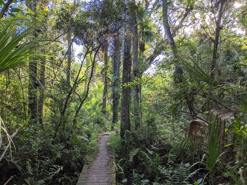 Nature Never Feels Far Away