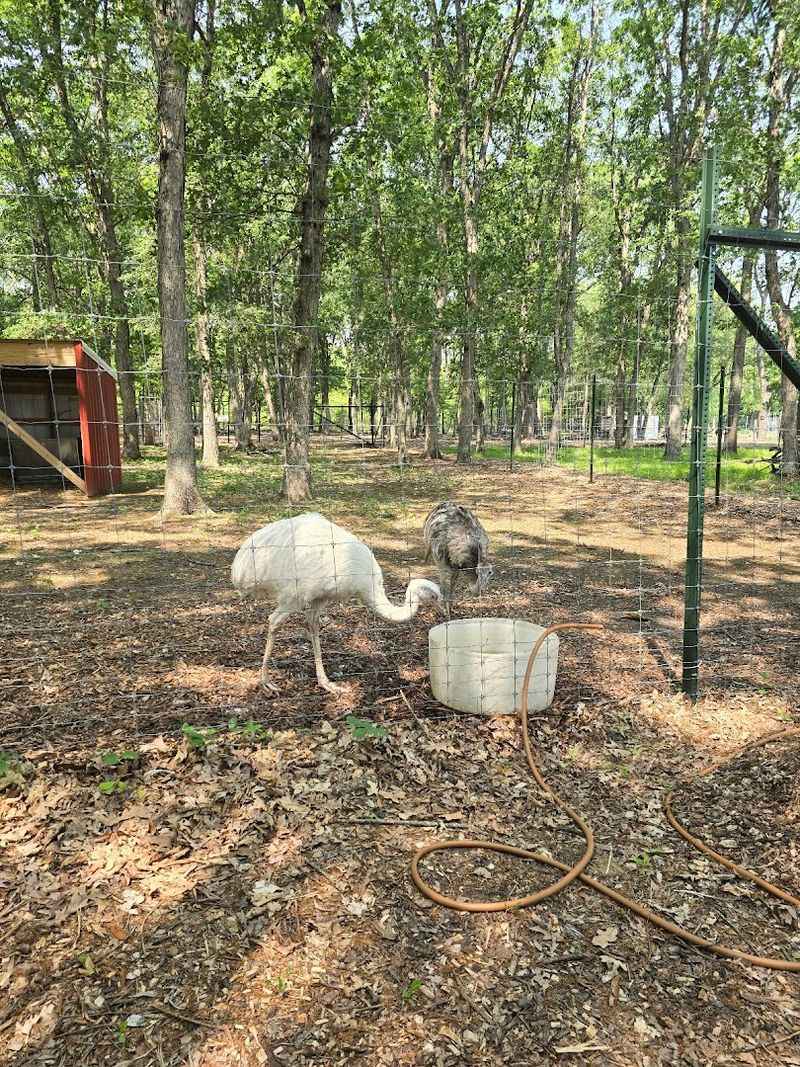 Nearby Kankakee Sands Adds Even More Outdoor Adventure to Your Day Trip