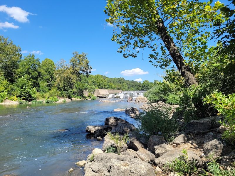 Nearby McIndoe Park Extends the Adventure Along Shoal Creek