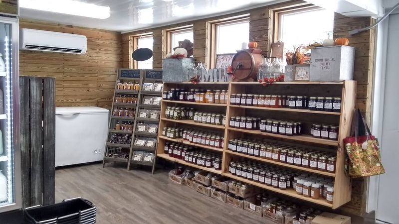 Nearby Places to Round Out Your Visit to Osceola and the South Bend Area