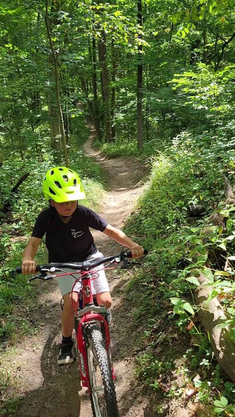 Nearly 10 Miles of Singletrack Packed Into a Surprisingly Small Woodland