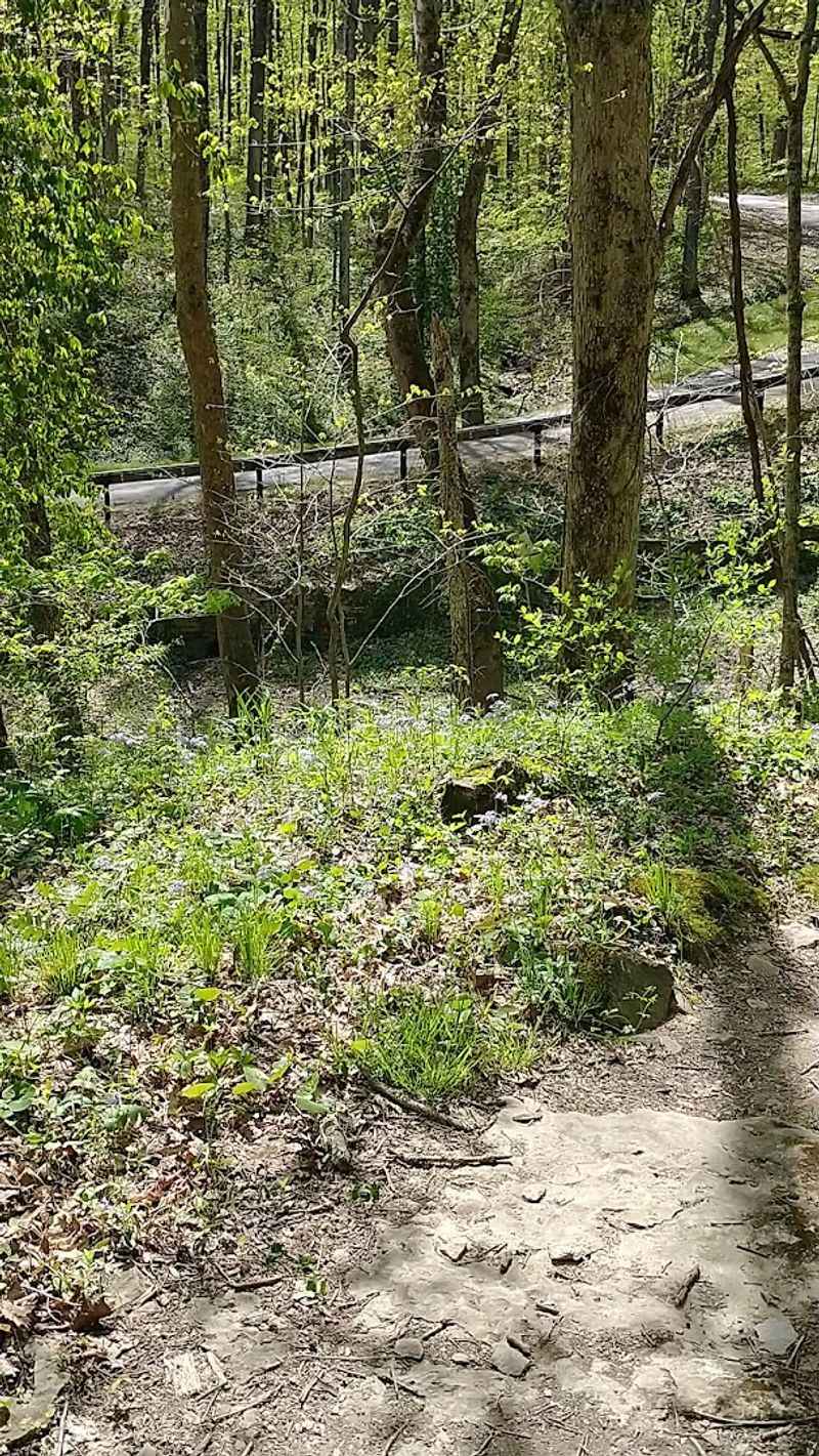 Nearly 10 Miles of Trails for Every Skill Level