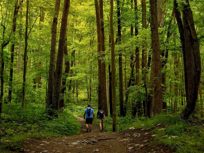 Nearly 50 Miles of Trails Covering Every Skill Level