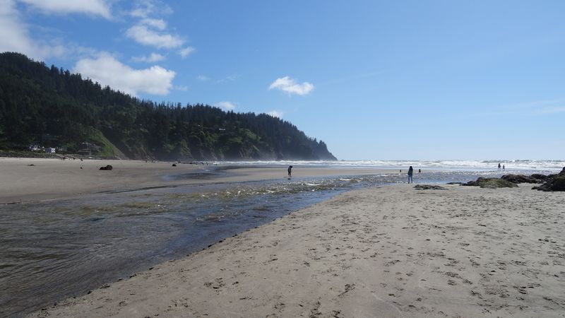 Nehalem Bay State Park Just Down the Road