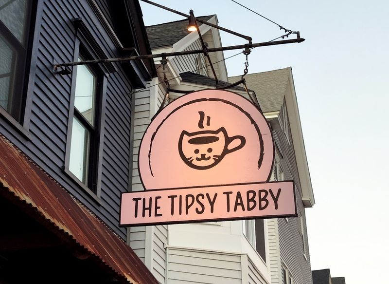 New Hampshire's First and Only Cat Cafe