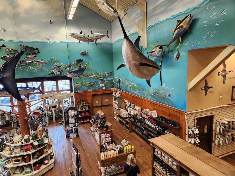 New Jersey Native Fish Species on Display