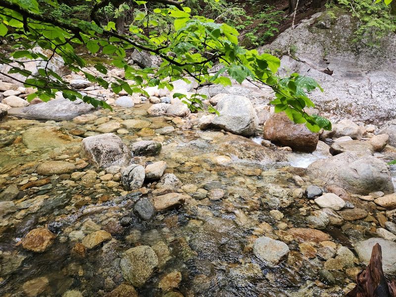 No Facilities, No Problem: How to Prepare