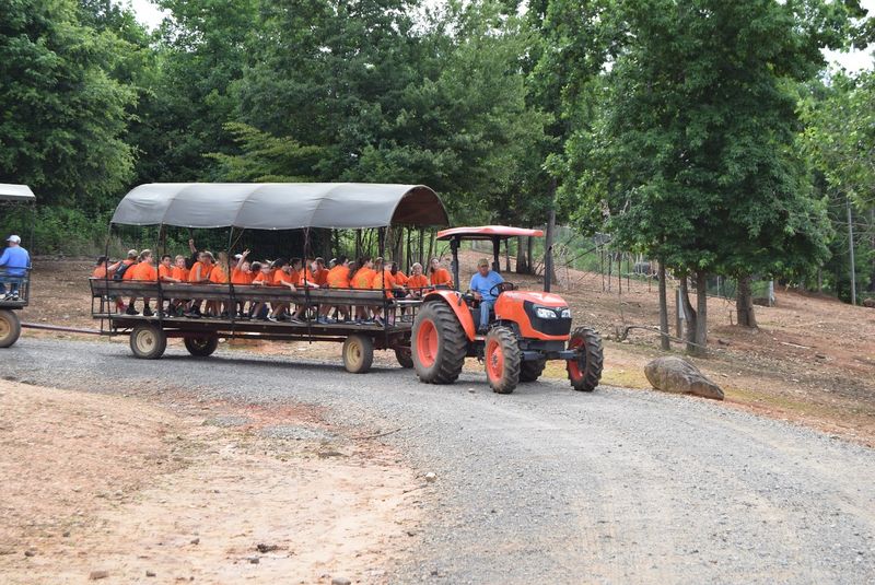 The Drive-Through Safari That Feels Like Another World
