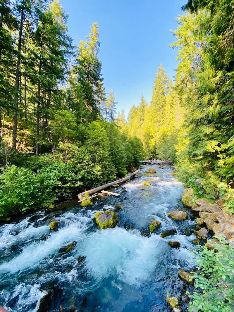 North Umpqua River at Narrows Park (near Glide/Roseburg)