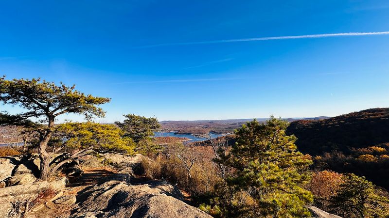 Norvin Green State Forest: The Bigger Picture