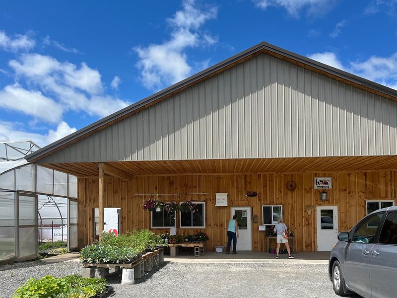 Nursery Plants and a Market That Keeps Growing Nursery Plants and a Market That Keeps Growing