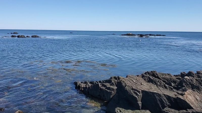 Odiorne Point State Park, Rye