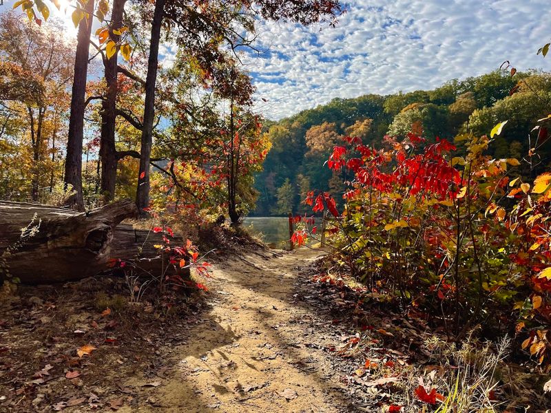 Ogle Lake Trail, Brown County State Park, Nashville