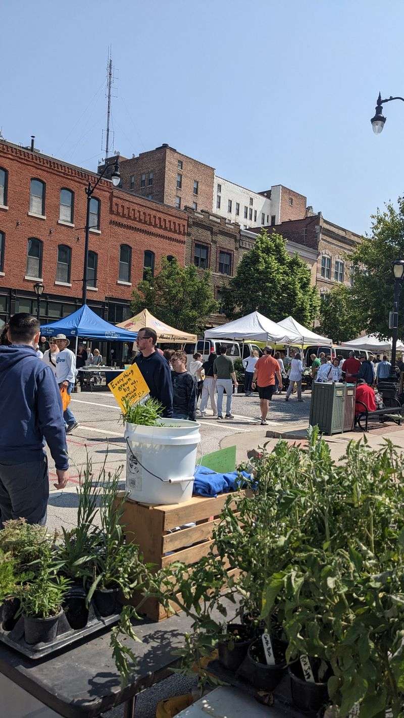 Old Capitol Farmers Market