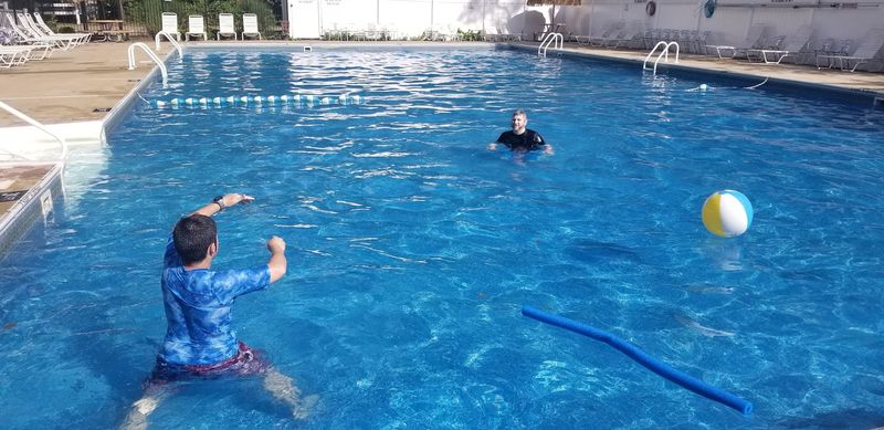 Olympic-Sized Swimming Pool