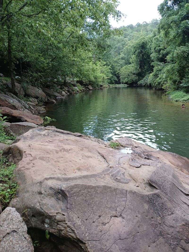 One of the Most Biodiverse Habitats in the Entire State