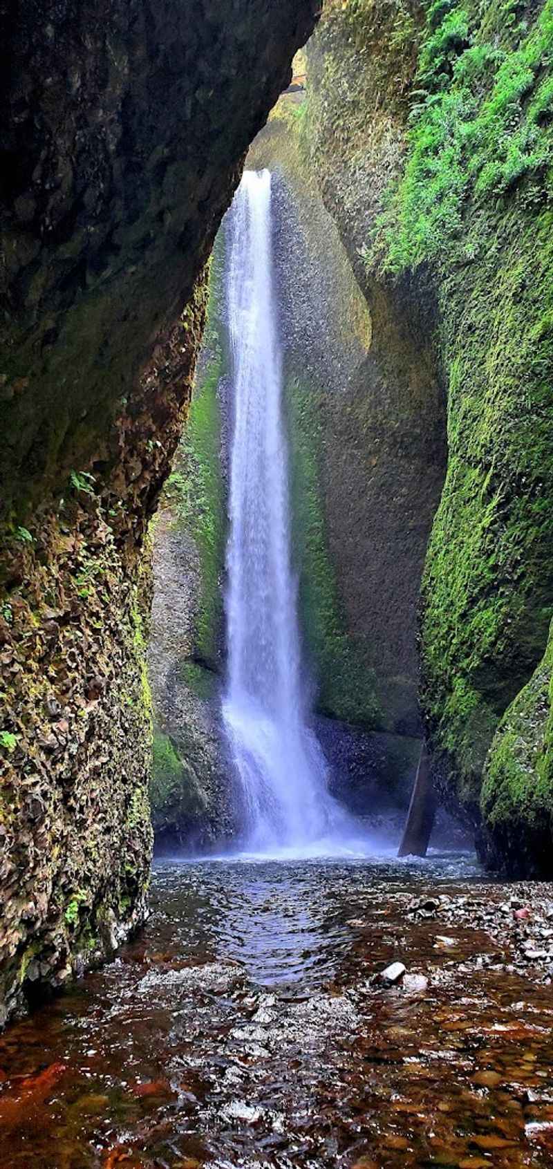 Oneonta Gorge Slot Canyon Hike, Columbia River Gorge, Oregon Oneonta Gorge Slot Canyon Hike, Columbia River Gorge, Oregon