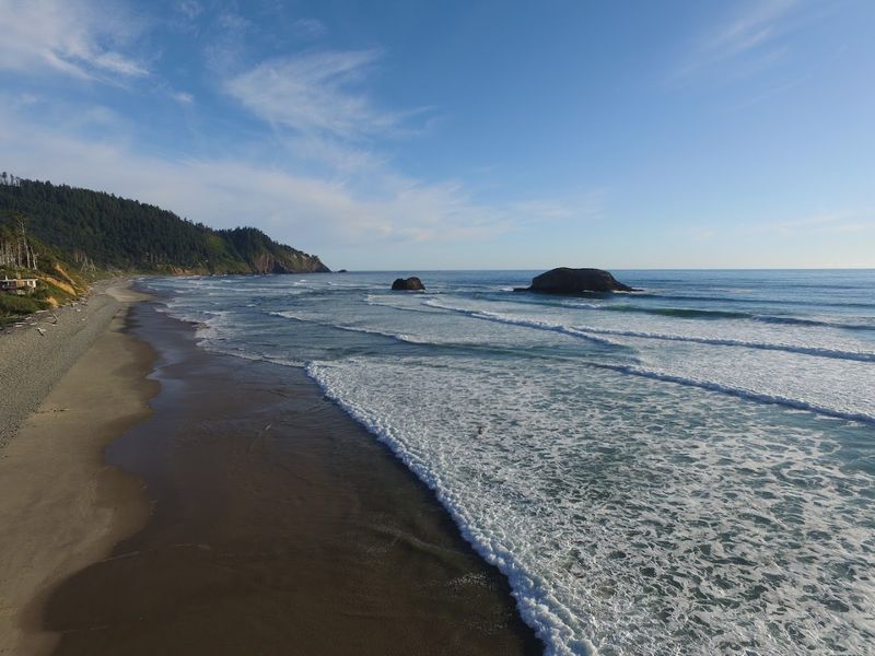 Oswald West State Park: The Wild Neighbor Next Door