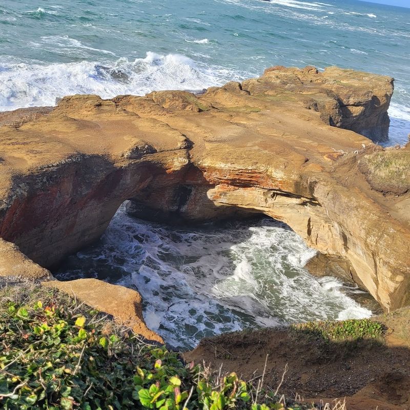 Otter Rock and Devil's Punchbowl State Natural Area