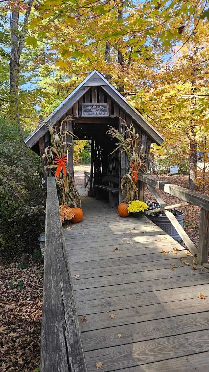 Outdoor Seating and Seasonal Beauty All Year Round