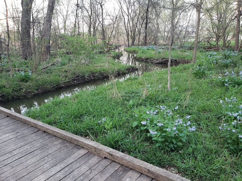 Over 130 Bird Species Call This Place Home