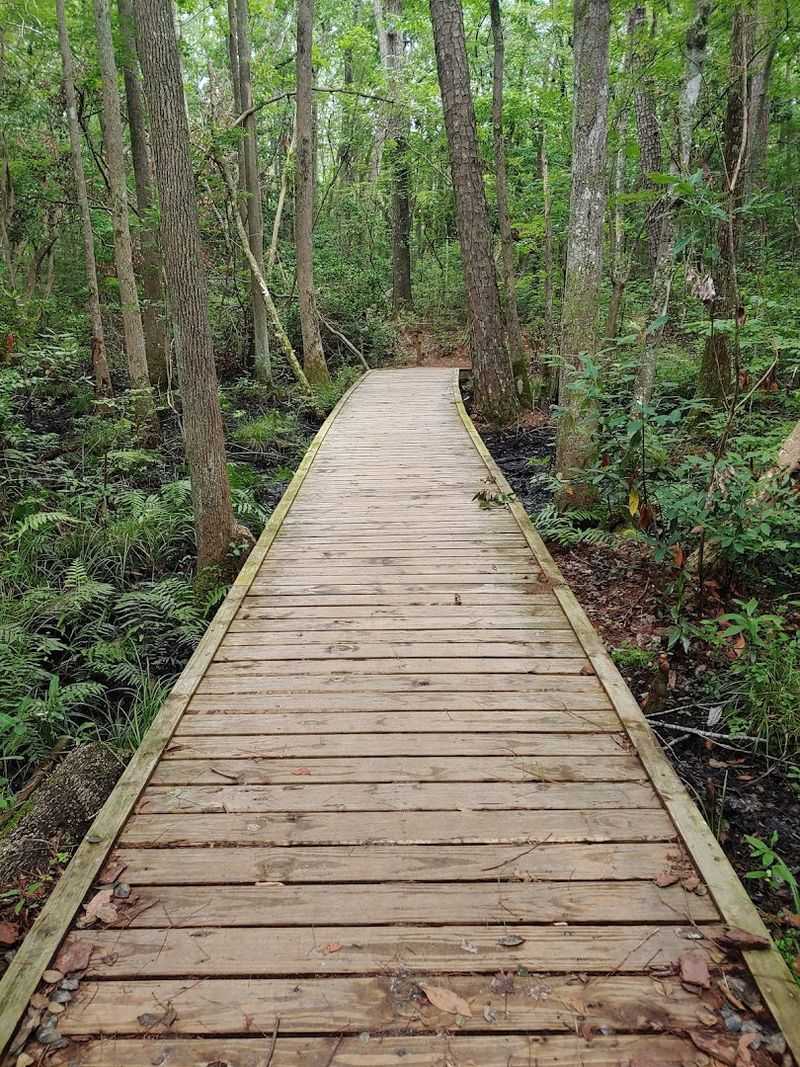 Over 20 Miles of Trails for Hikers and Bikers Alike