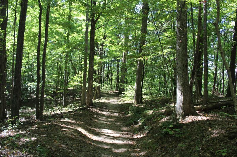 Over 260 Miles of Trails Connect the Whole Experience