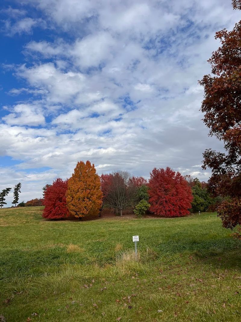 Over 5,000 Trees and Shrubs on One Incredible Property Over 5,000 Trees and Shrubs on One Incredible Property