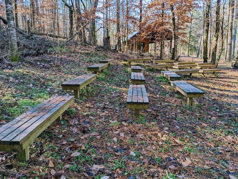 Over 6 Miles of Trails Through Real Alabama Forest