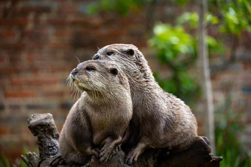 Over 700 Animals Call This 45-Acre Zoo Home