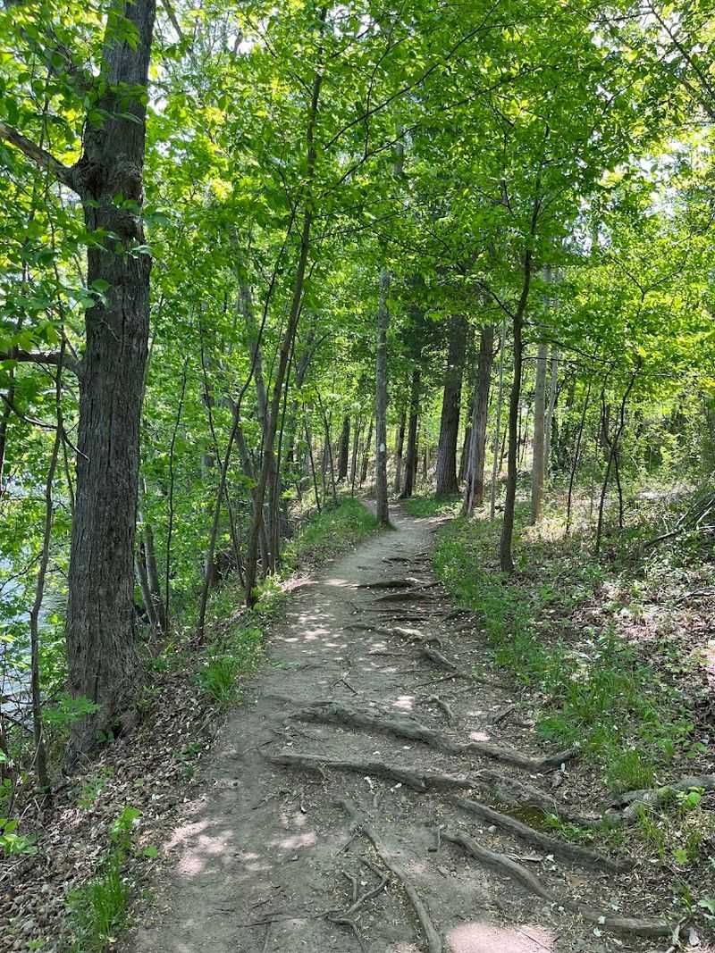 Over 75 Miles of Multi-Use Trails for Every Skill Level