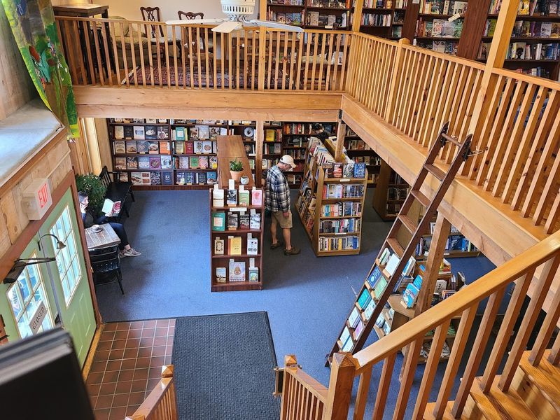 Over Fifty Years of Independent Bookselling in the Heart of Camden