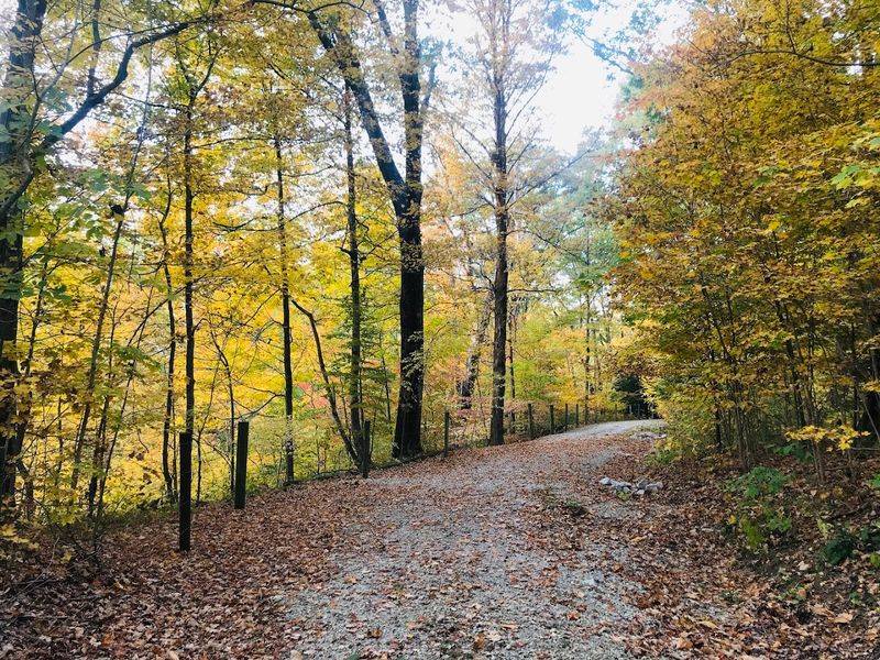 Over Six Miles of Trails That Cover Every Skill Level